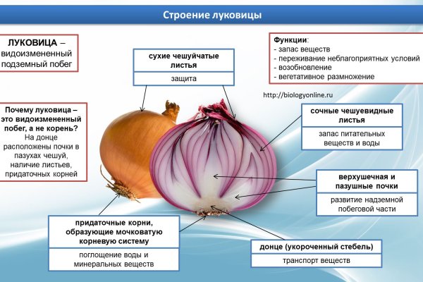 Кракен сообщество