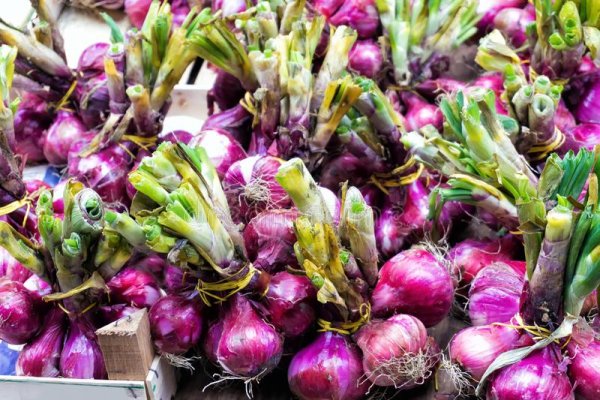 Кракен современный даркнет