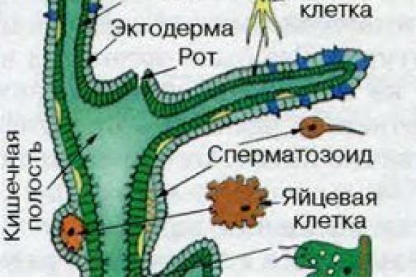 Кракен вывод средств